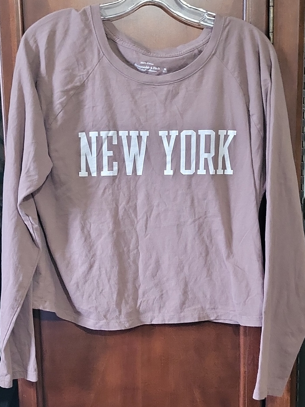 Abercrombie & Fitch Brown Long Sleeve